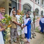 tree plantation