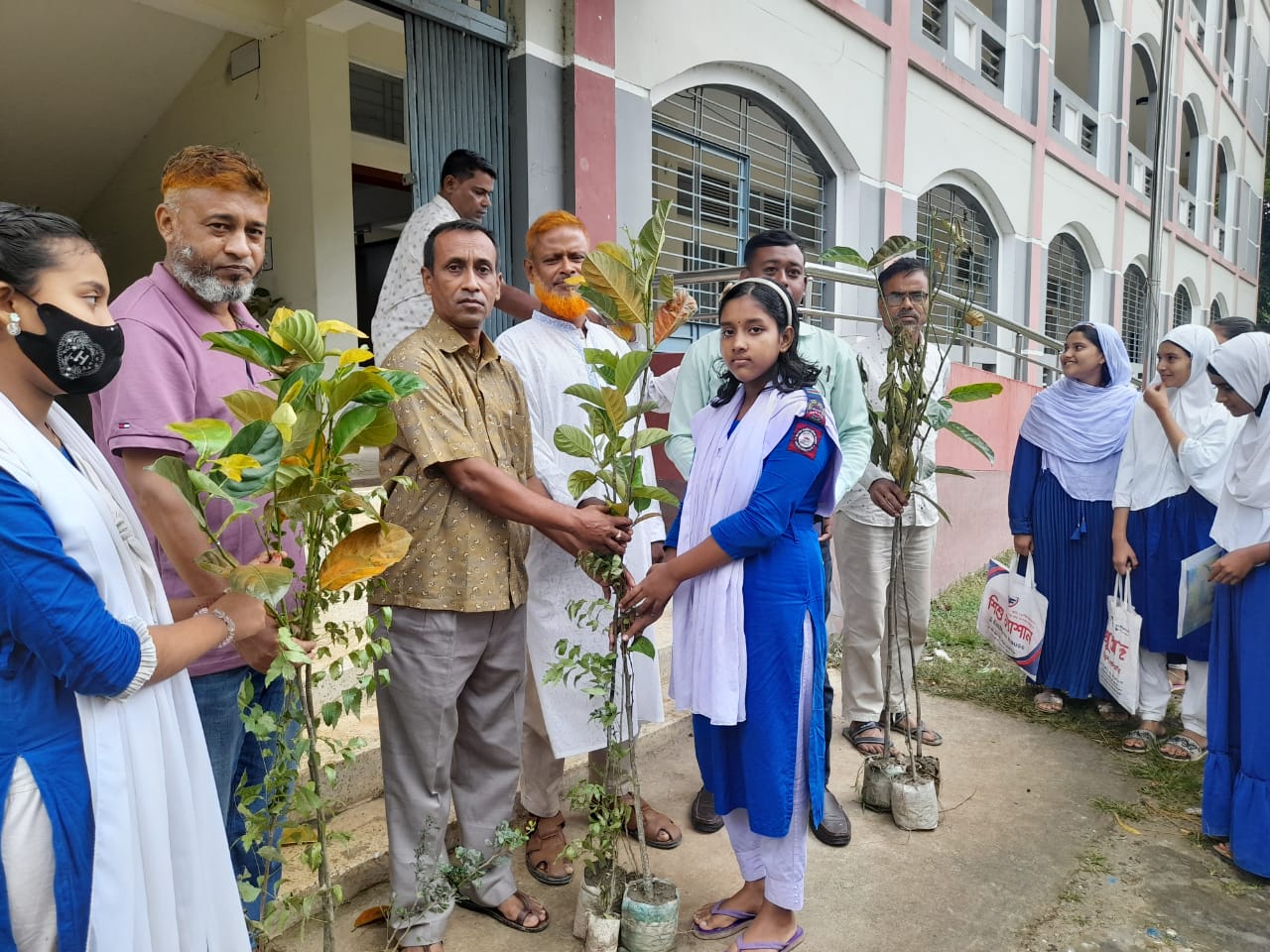 tree plantation